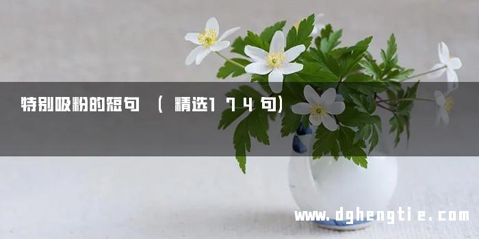 特别吸粉的短句 (精选174句)